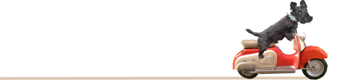 ティーエスカンパニー